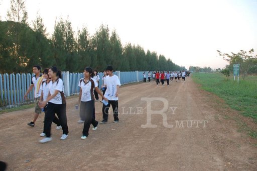 DSC_0479 Copy.JPG